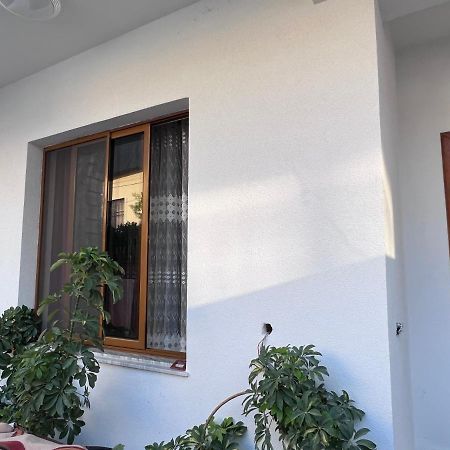 David Guesthouse Shkoder Exterior photo